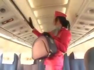 Enticing stewardess sucking putz before cunnilingus