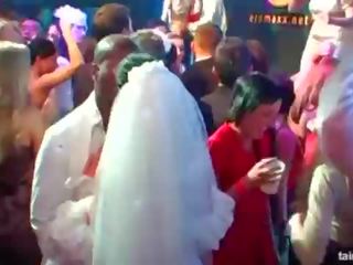 Magnificent לוהט brides למצוץ גדול זין ב ציבורי
