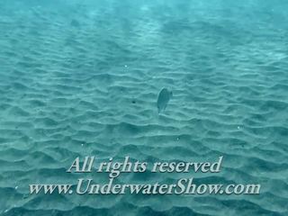 Uinti gracefully alasti vedenalainen, hd xxx video- 22