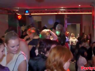 Foss amatør eurobabes fest hardt i klubb: gratis xxx video 66