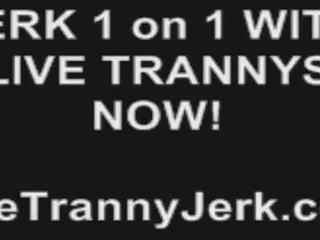 Tskayli Live Tranny